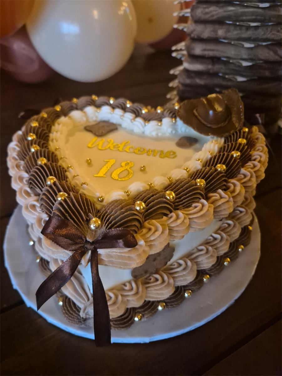 Heart-shaped 18th birthday cake at a party at Vijgeboomsdrift